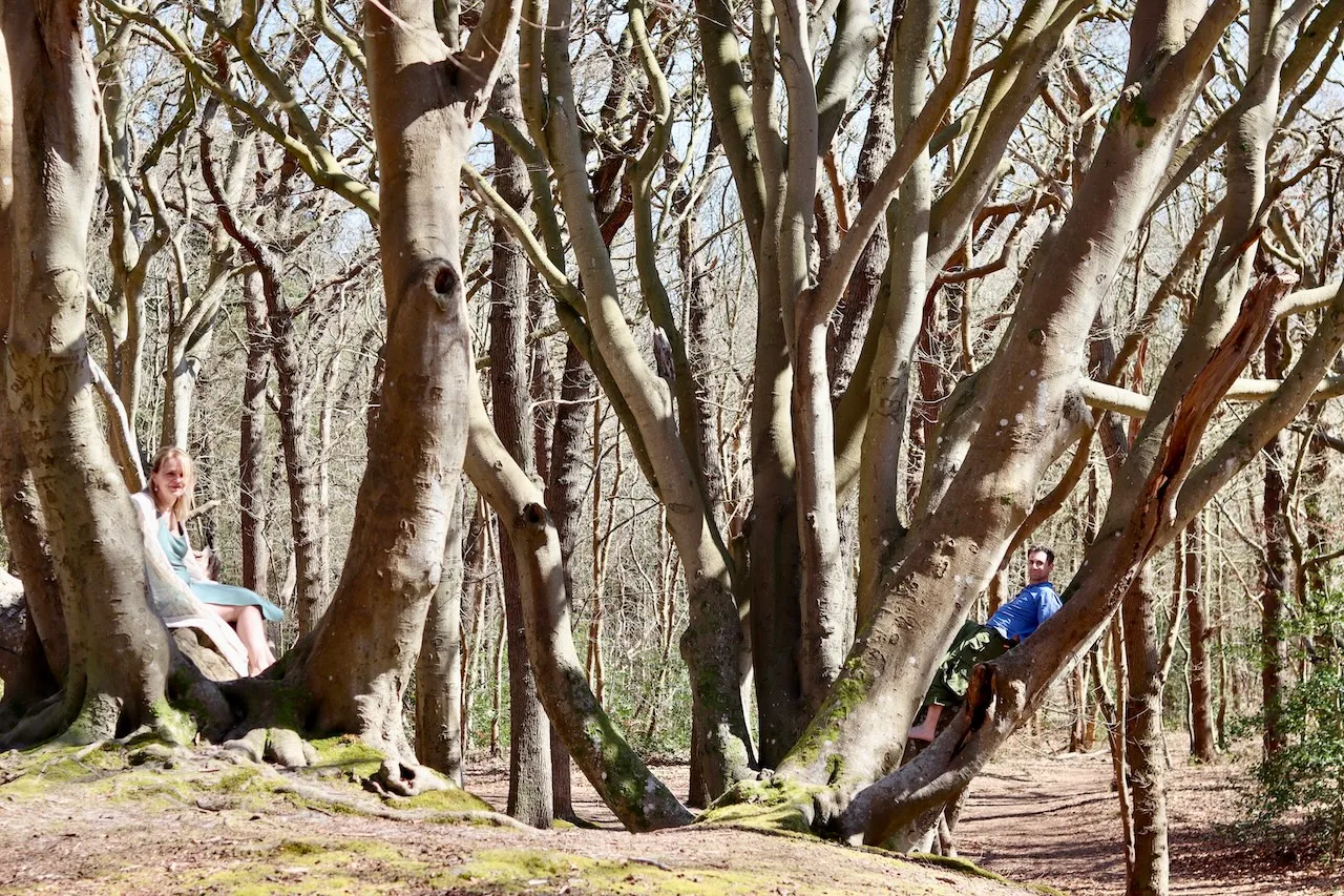 Martina Schmauder & Donatello Ferlante über Bäume